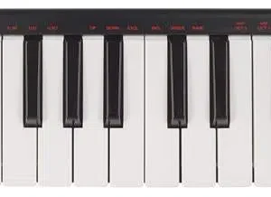 AKAI LPK 25 USB/MIDI controller keyboard with 25 Keys