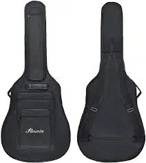 Acoustic Fully Padded Guitar Bags